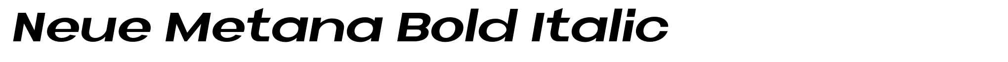 Neue Metana Bold Italic image